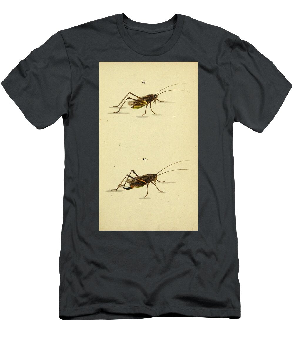 16 Insects Beautiful Nature Prints T-Shirt
