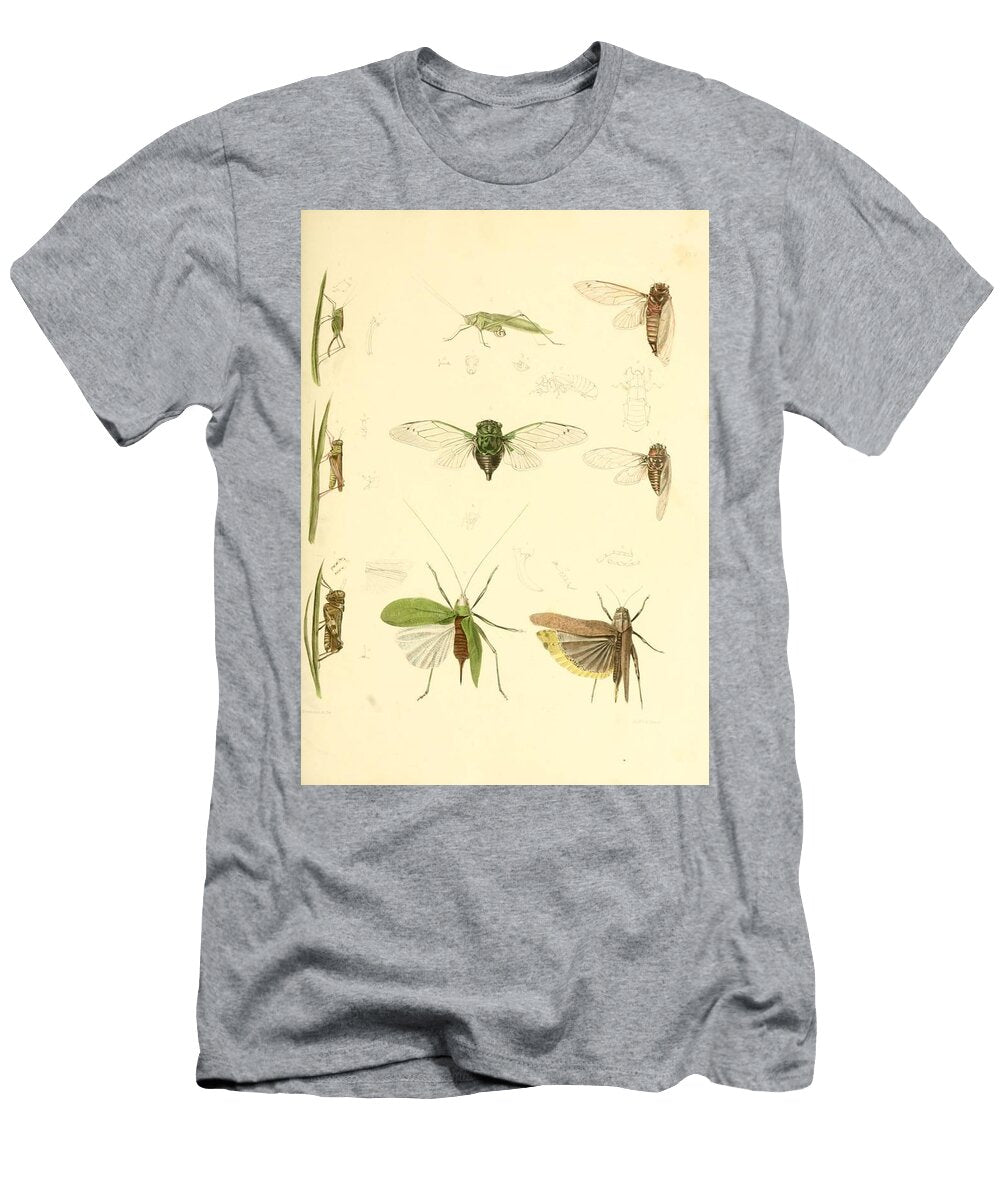 160 Insects Beautiful Nature Prints T-Shirt