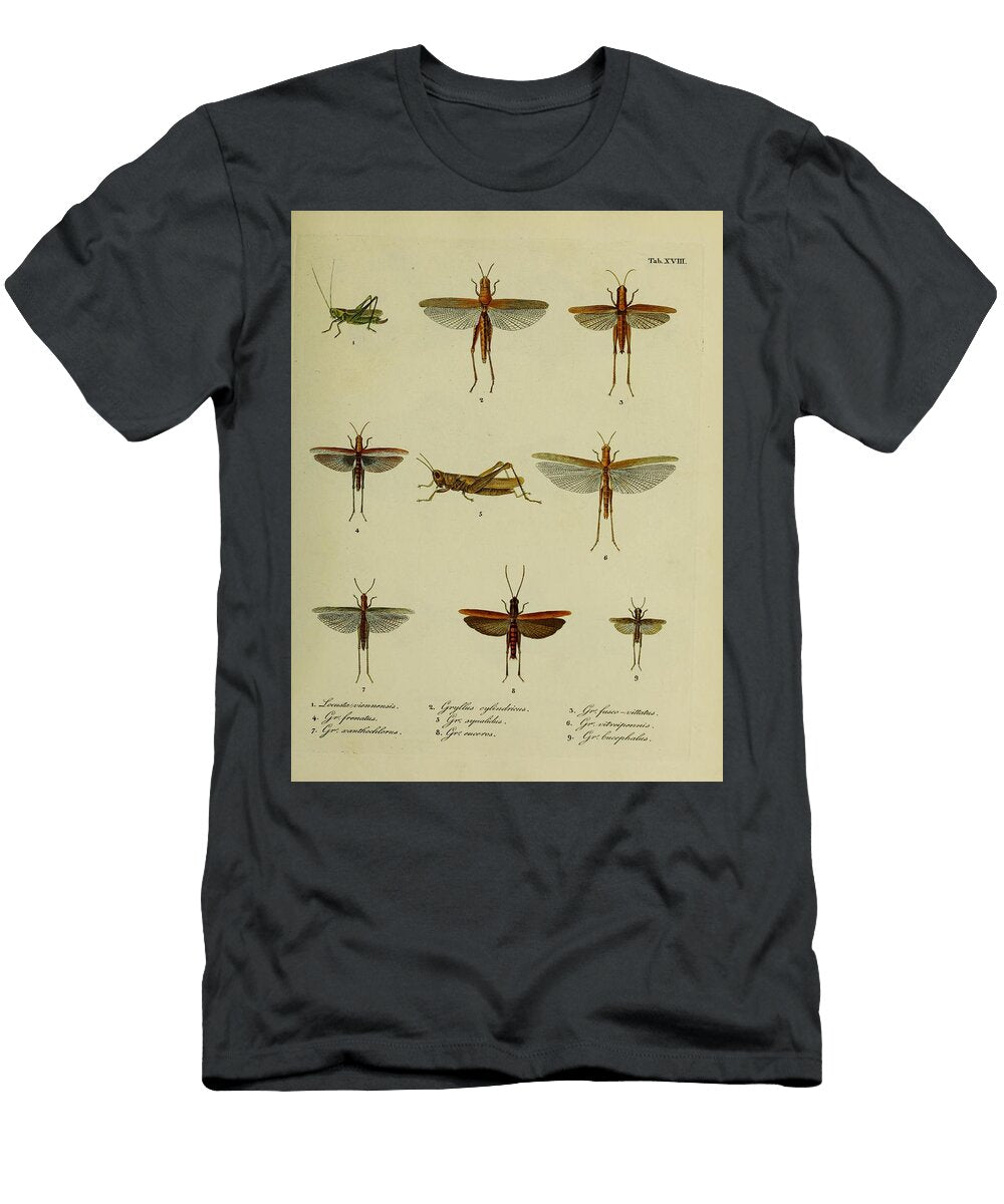 161 Insects Beautiful Nature Prints T-Shirt