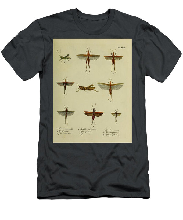 161 Insects Beautiful Nature Prints T-Shirt
