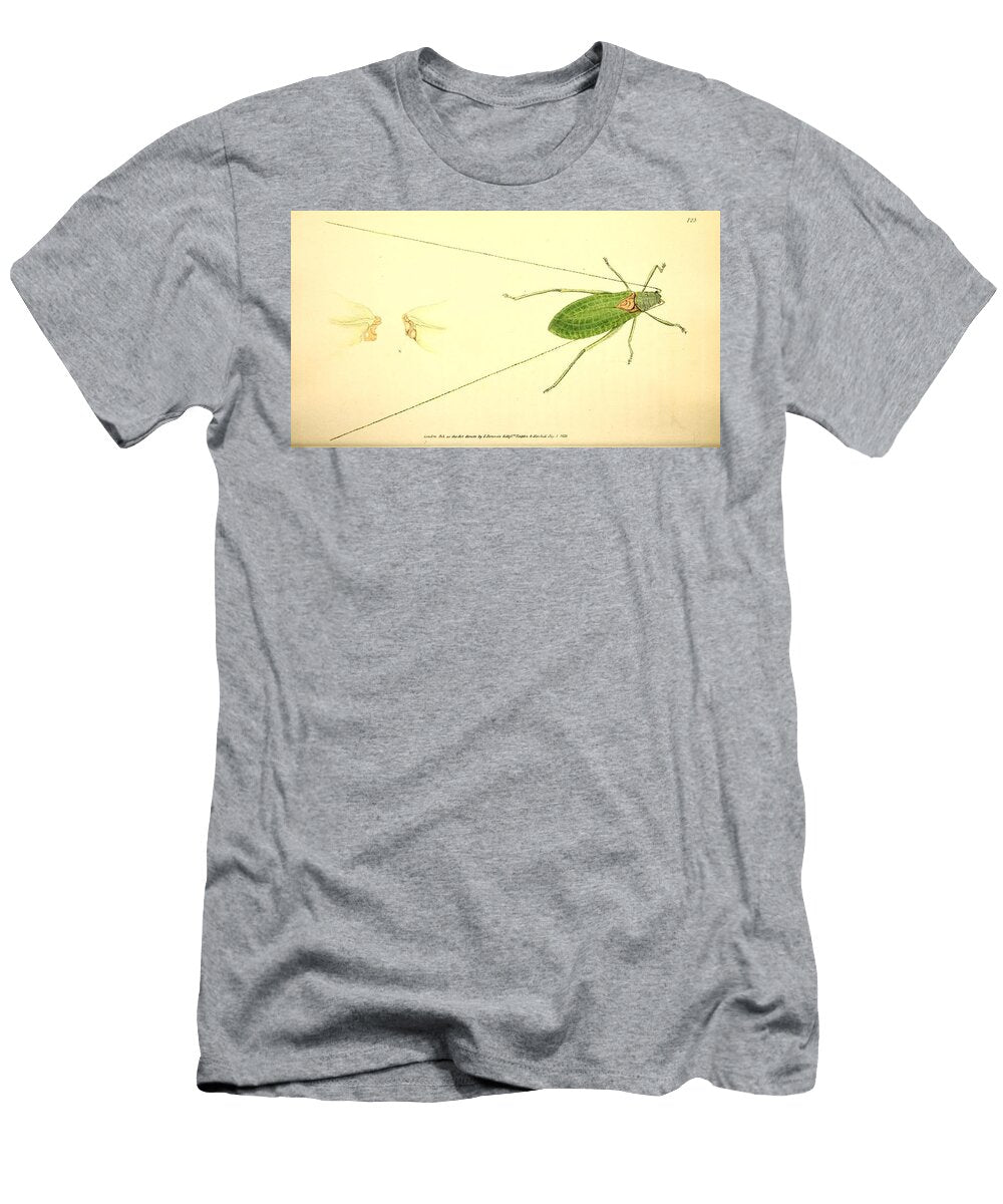 162 Insects Beautiful Nature Prints T-Shirt
