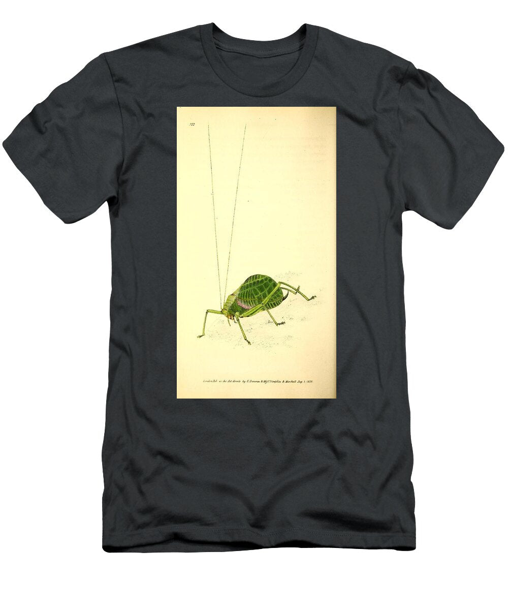 163 Insects Beautiful Nature Prints T-Shirt