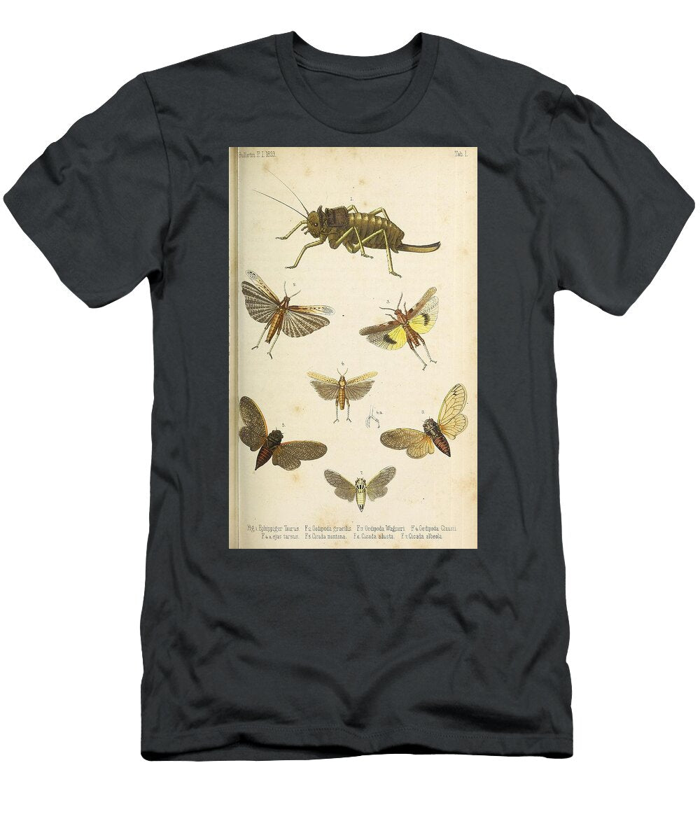164 Insects Beautiful Nature Prints T-Shirt