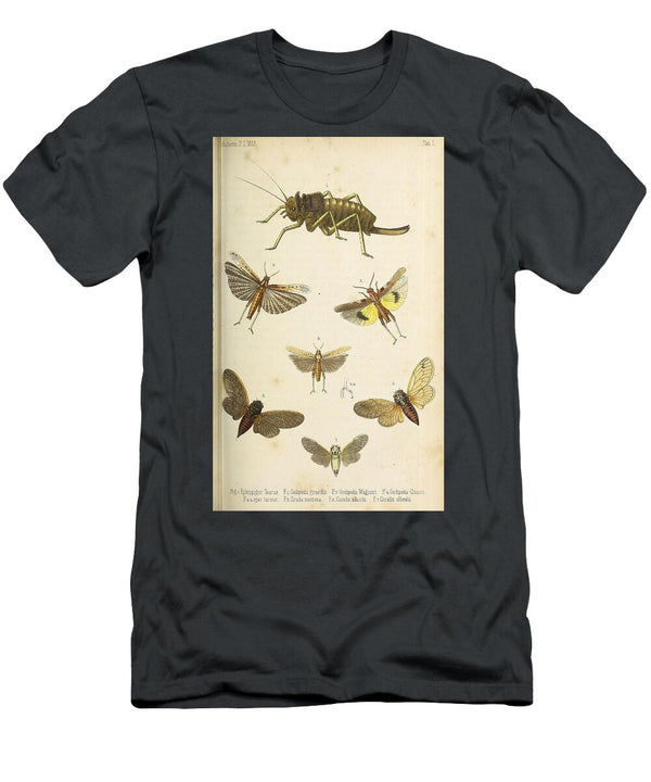 164 Insects Beautiful Nature Prints T-Shirt