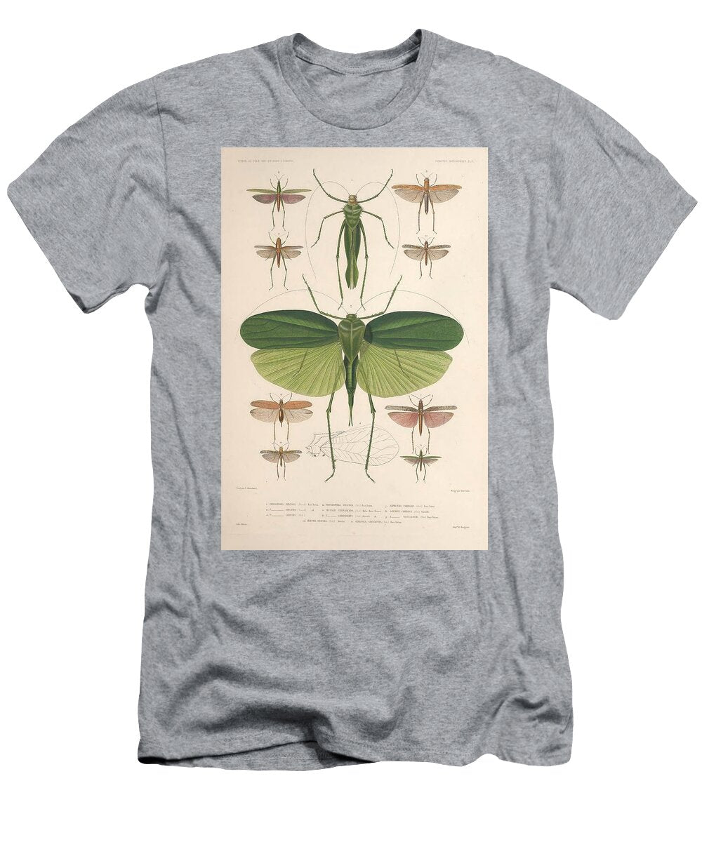 165 Insects Beautiful Nature Prints T-Shirt