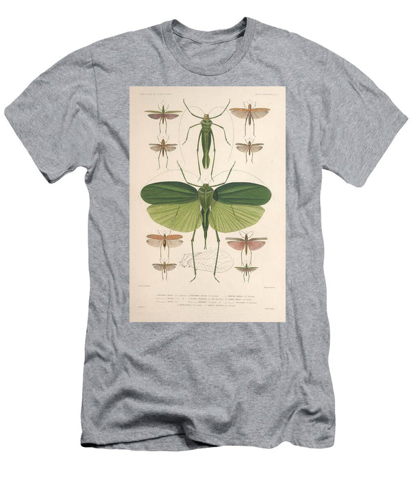 165 Insects Beautiful Nature Prints T-Shirt