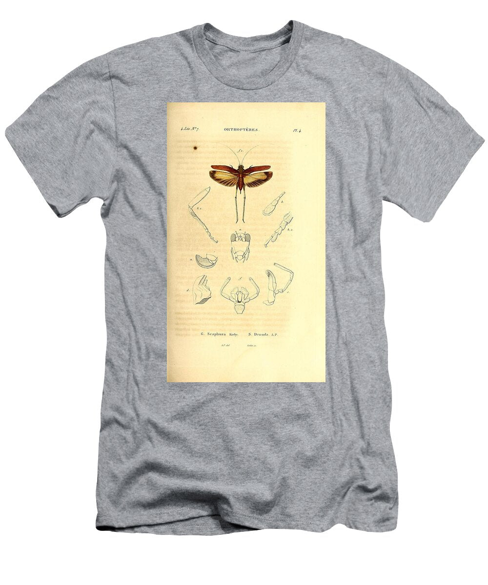 166 Insects Beautiful Nature Prints T-Shirt