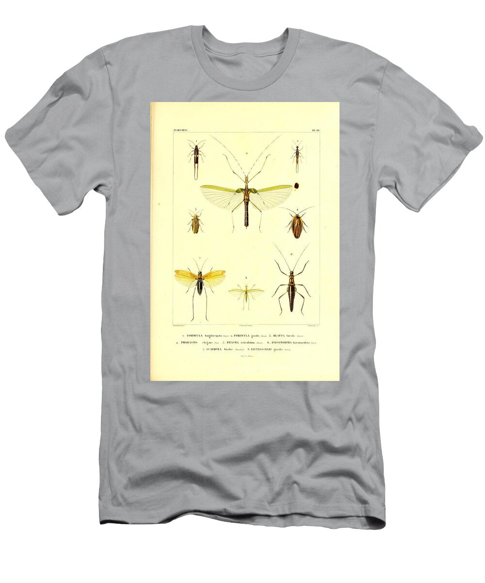 167 Insects Beautiful Nature Prints T-Shirt