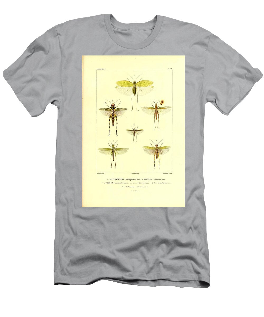 168 Insects Beautiful Nature Prints T-Shirt