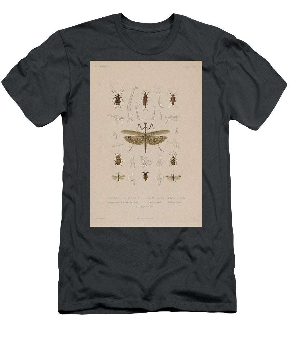 169 Insects Beautiful Nature Prints T-Shirt