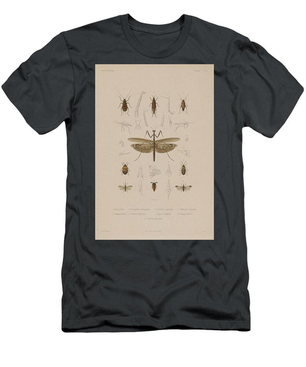169 Insects Beautiful Nature Prints T-Shirt