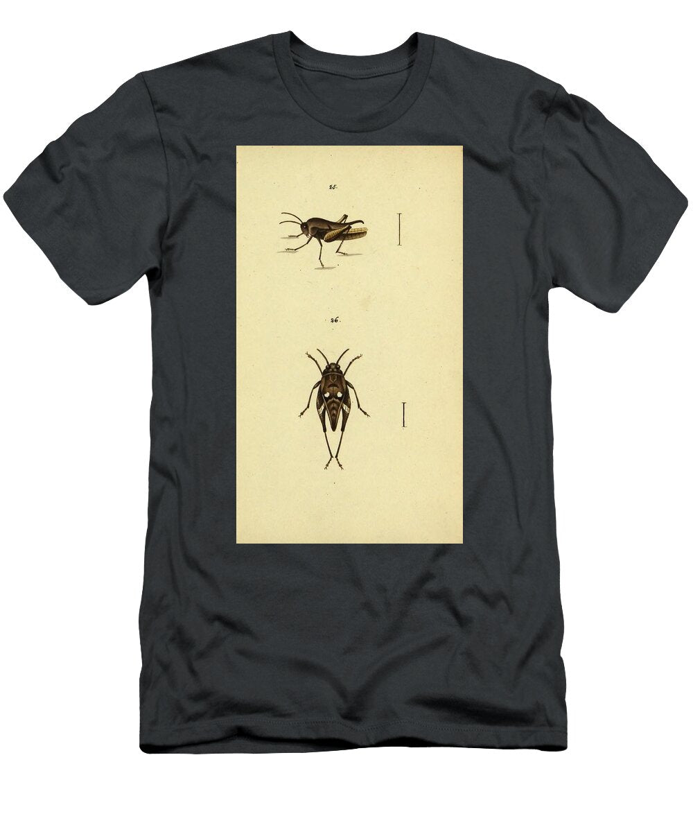 17 Insects Beautiful Nature Prints T-Shirt