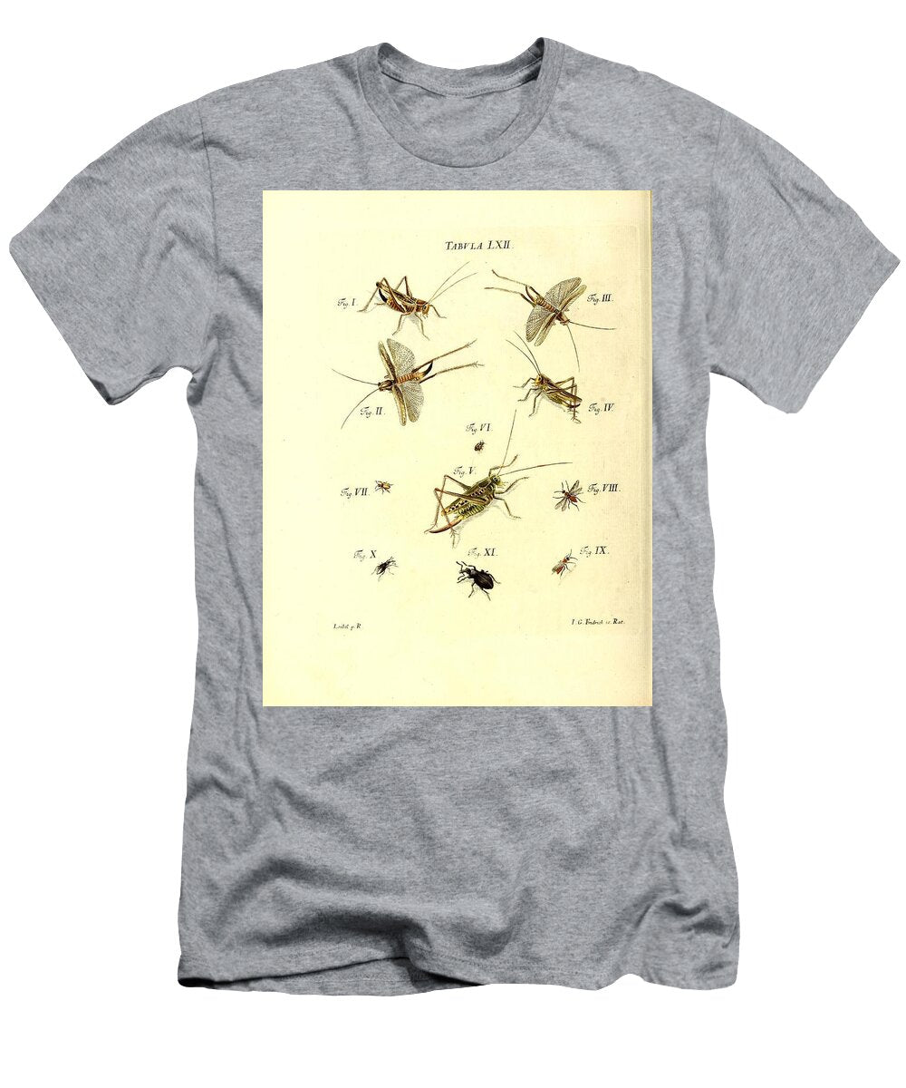 170 Insects Beautiful Nature Prints T-Shirt