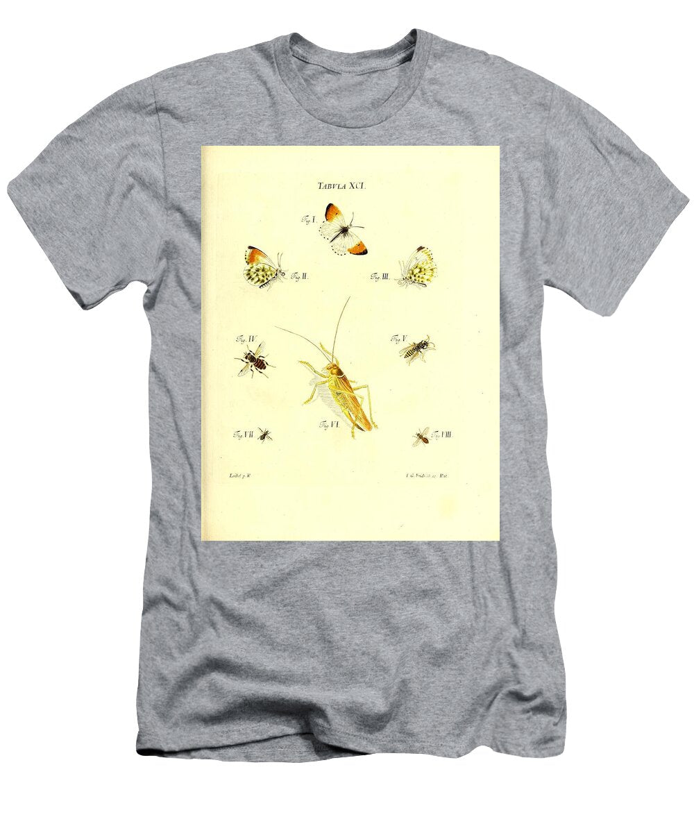 171 Insects Beautiful Nature Prints T-Shirt