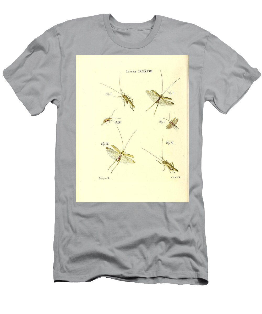 172 Insects Beautiful Nature Prints T-Shirt