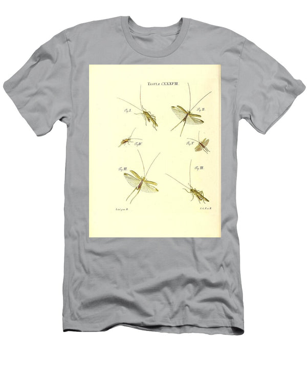 172 Insects Beautiful Nature Prints T-Shirt