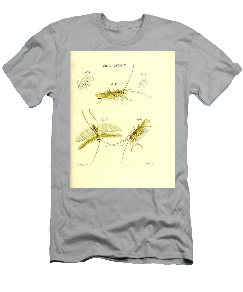 173 Insects Beautiful Nature Prints T-Shirt