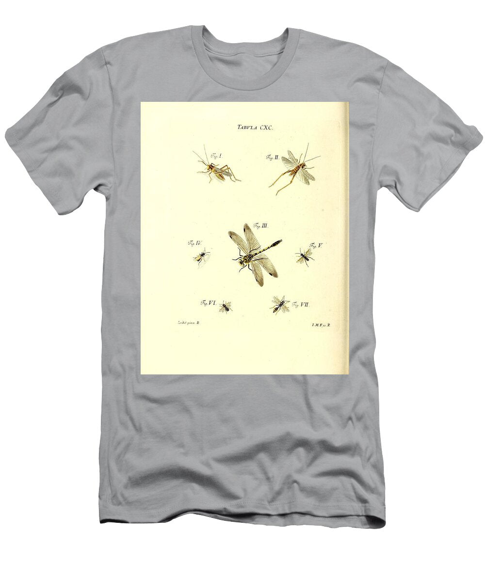 174 Insects Beautiful Nature Prints T-Shirt