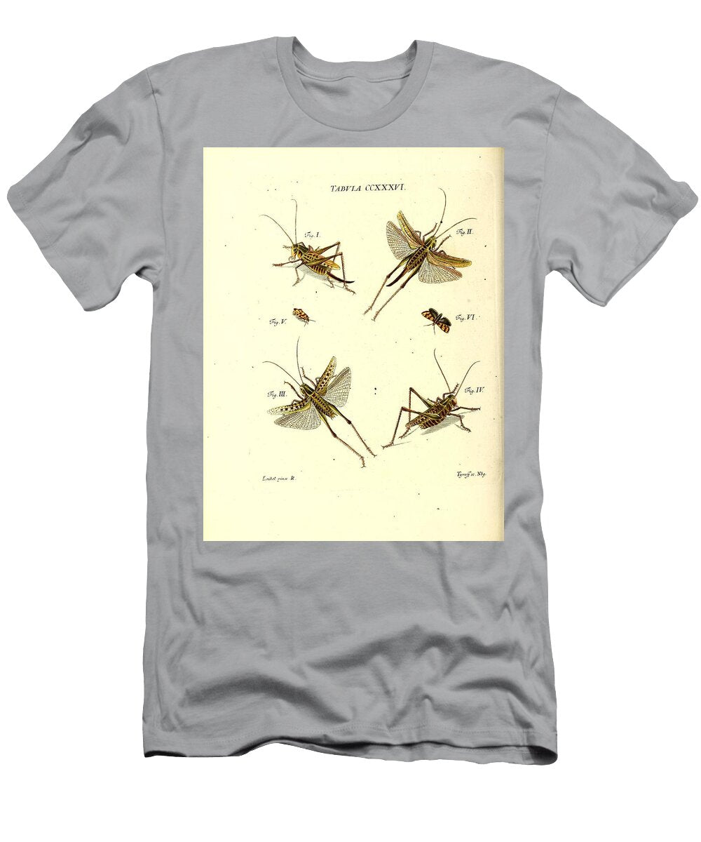 175 Insects Beautiful Nature Prints T-Shirt