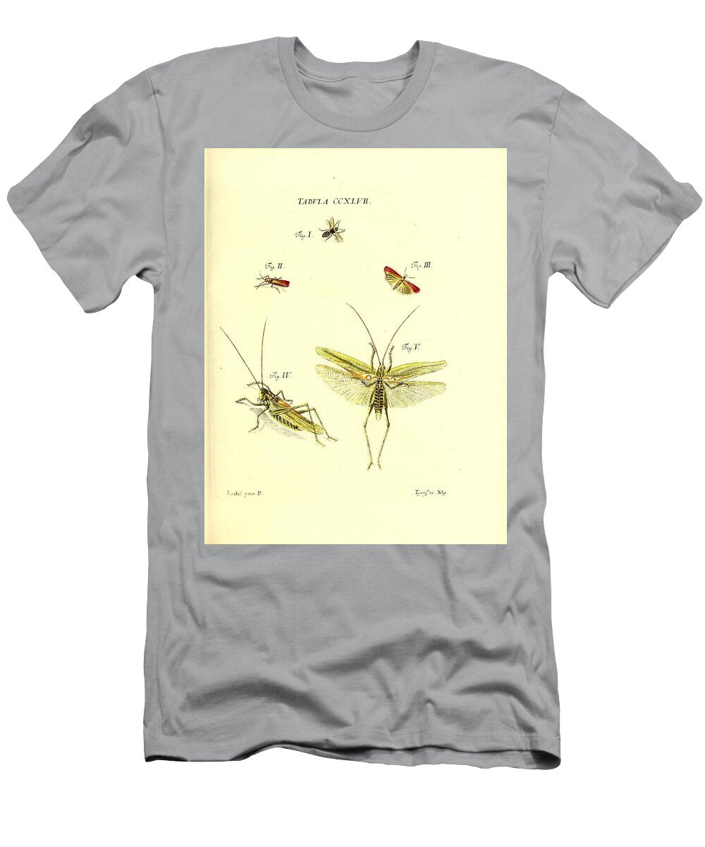 177 Insects Beautiful Nature Prints T-Shirt