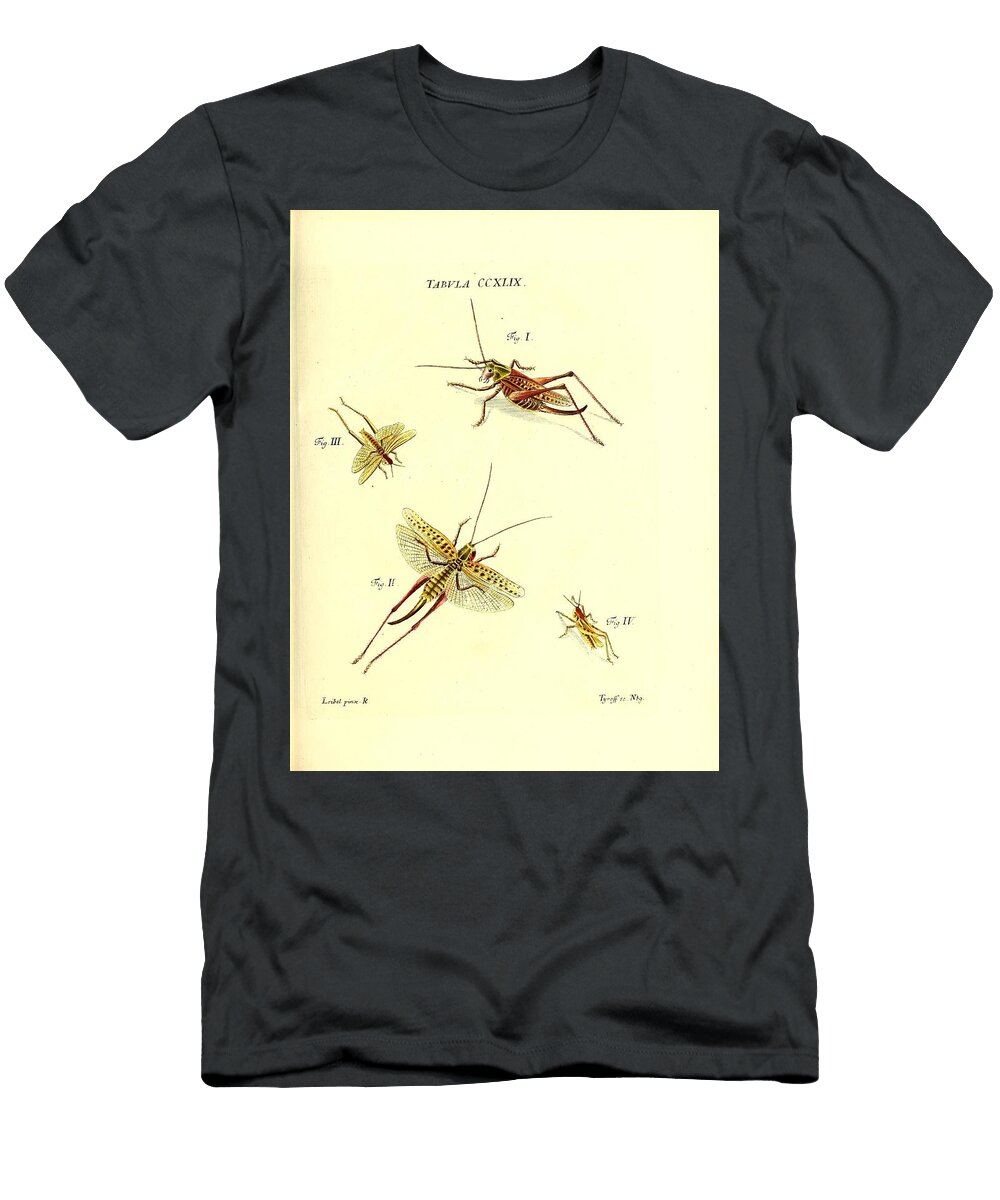 178 Insects Beautiful Nature Prints T-Shirt
