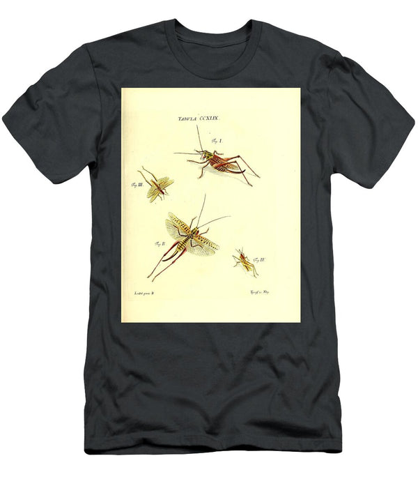 178 Insects Beautiful Nature Prints T-Shirt