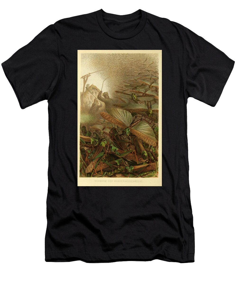 18 Insects Beautiful Nature Prints T-Shirt