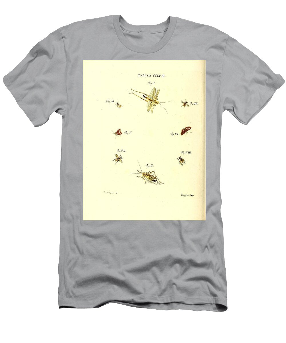 180 Insects Beautiful Nature Prints T-Shirt