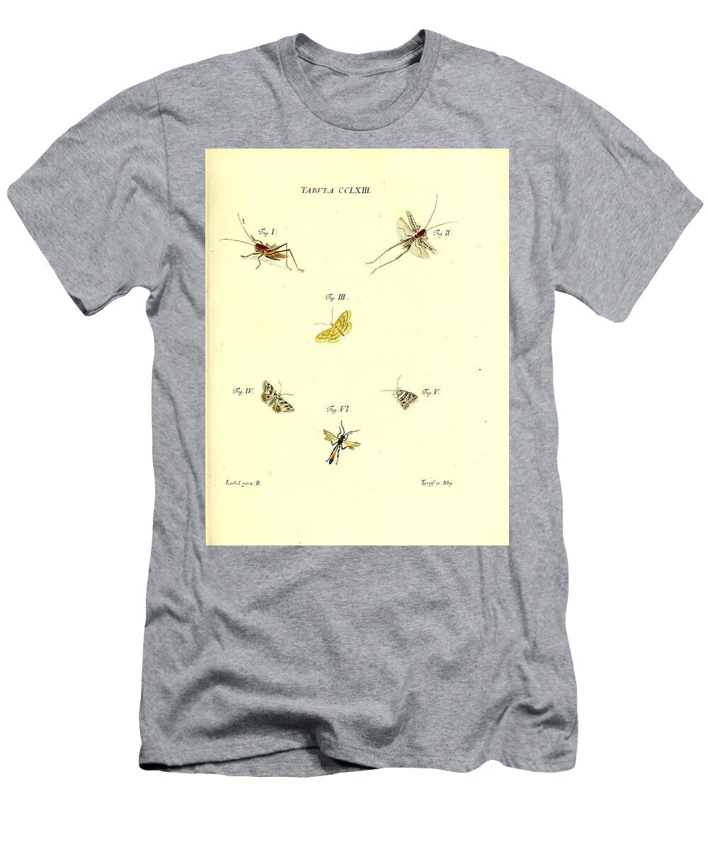 181 Insects Beautiful Nature Prints T-Shirt
