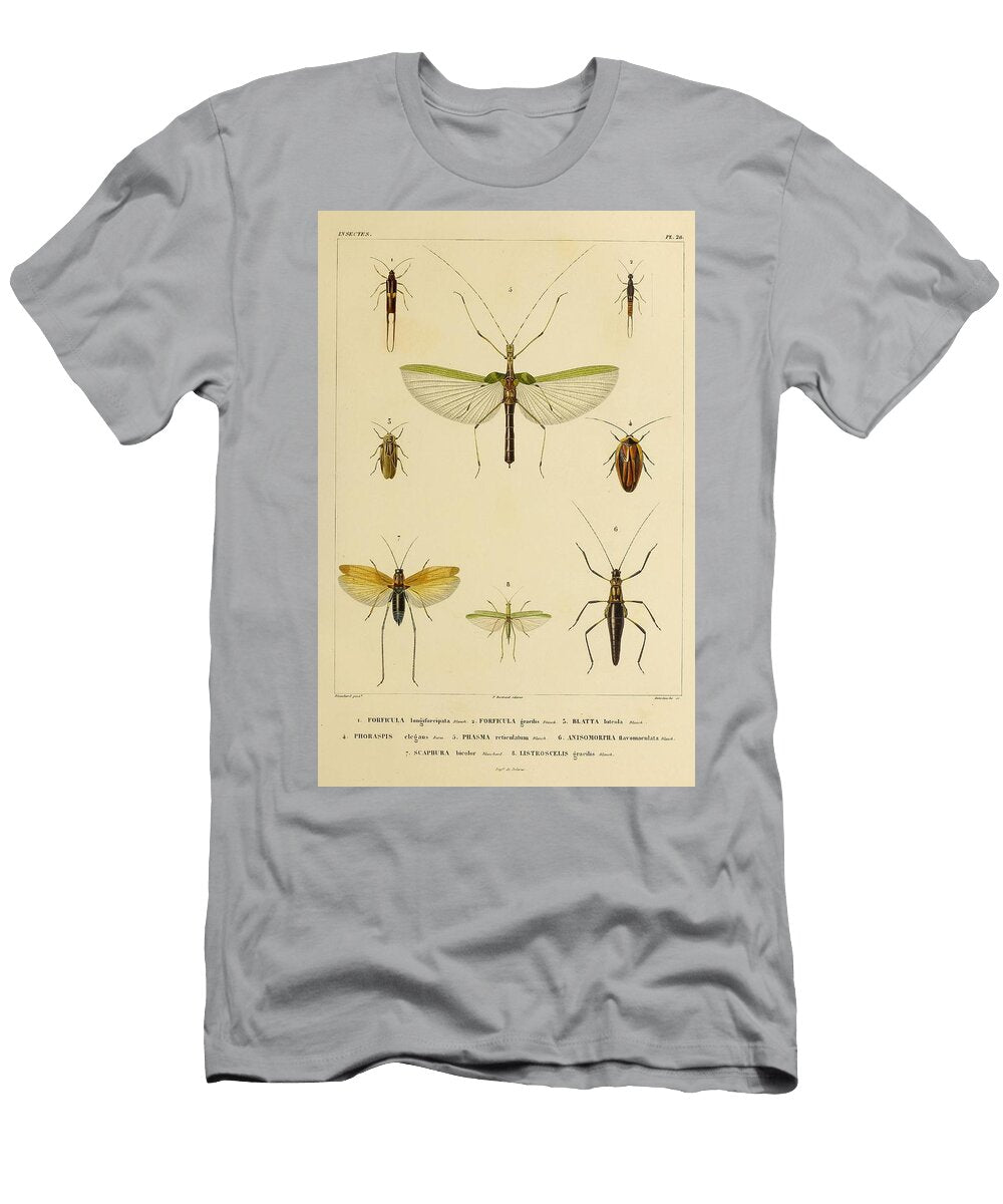 182 Insects Beautiful Nature Prints T-Shirt