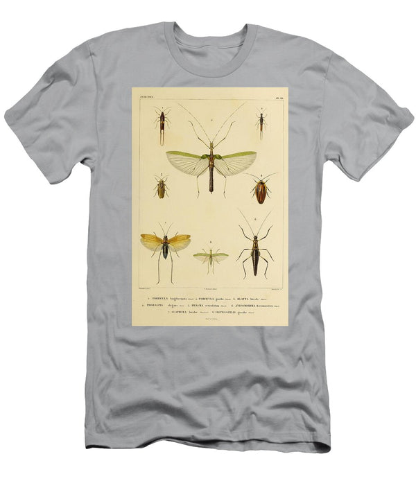 182 Insects Beautiful Nature Prints T-Shirt