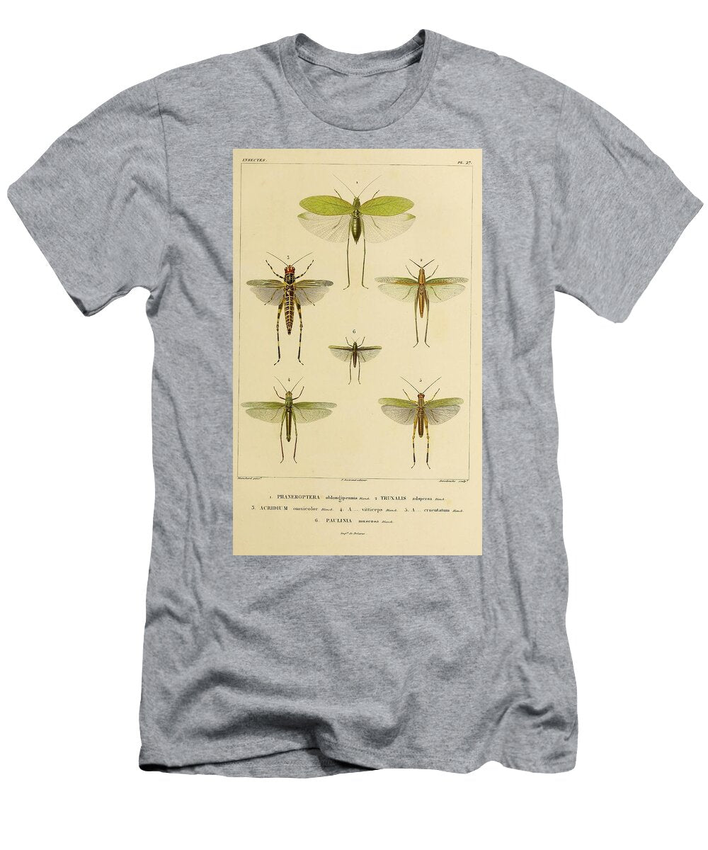 183 Insects Beautiful Nature Prints T-Shirt
