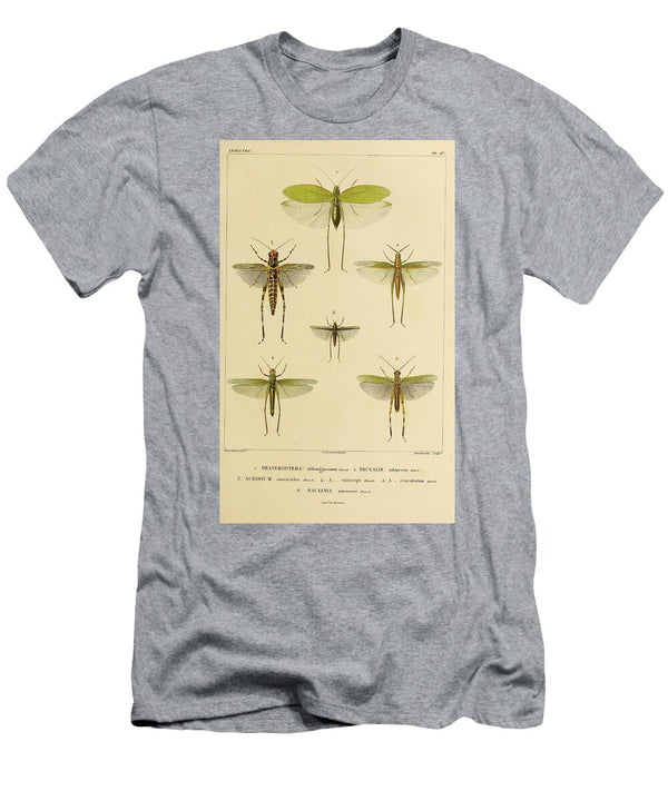 183 Insects Beautiful Nature Prints T-Shirt