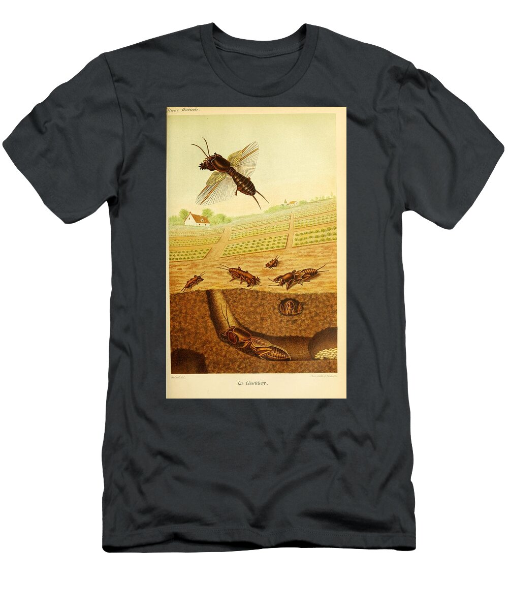 184 Insects Beautiful Nature Prints T-Shirt
