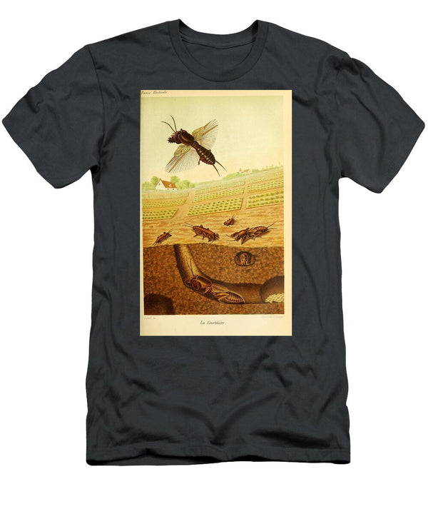 184 Insects Beautiful Nature Prints T-Shirt