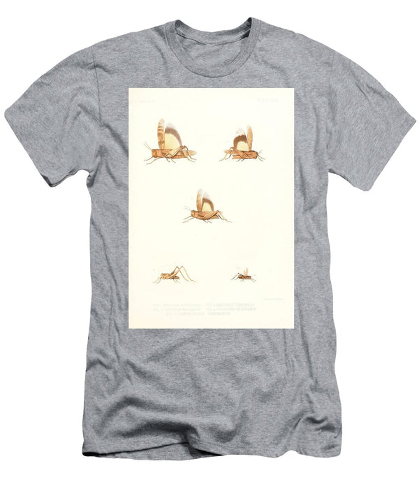 185 Insects Beautiful Nature Prints T-Shirt