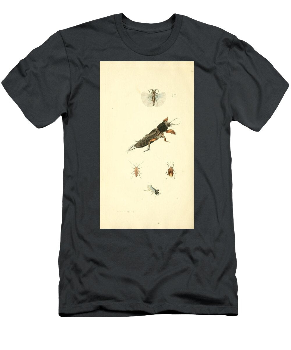 186 Insects Beautiful Nature Prints T-Shirt