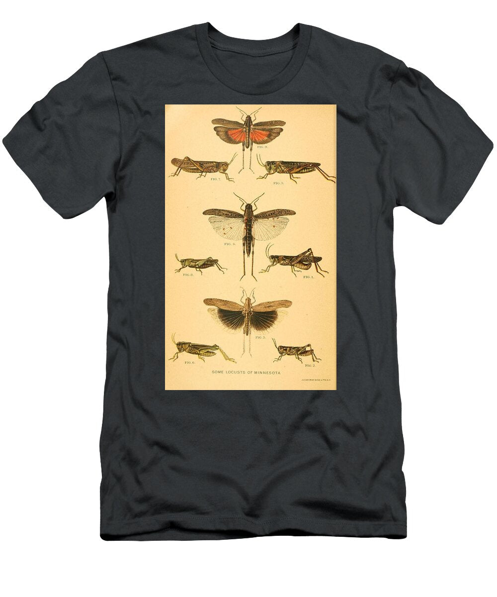 187 Insects Beautiful Nature Prints T-Shirt