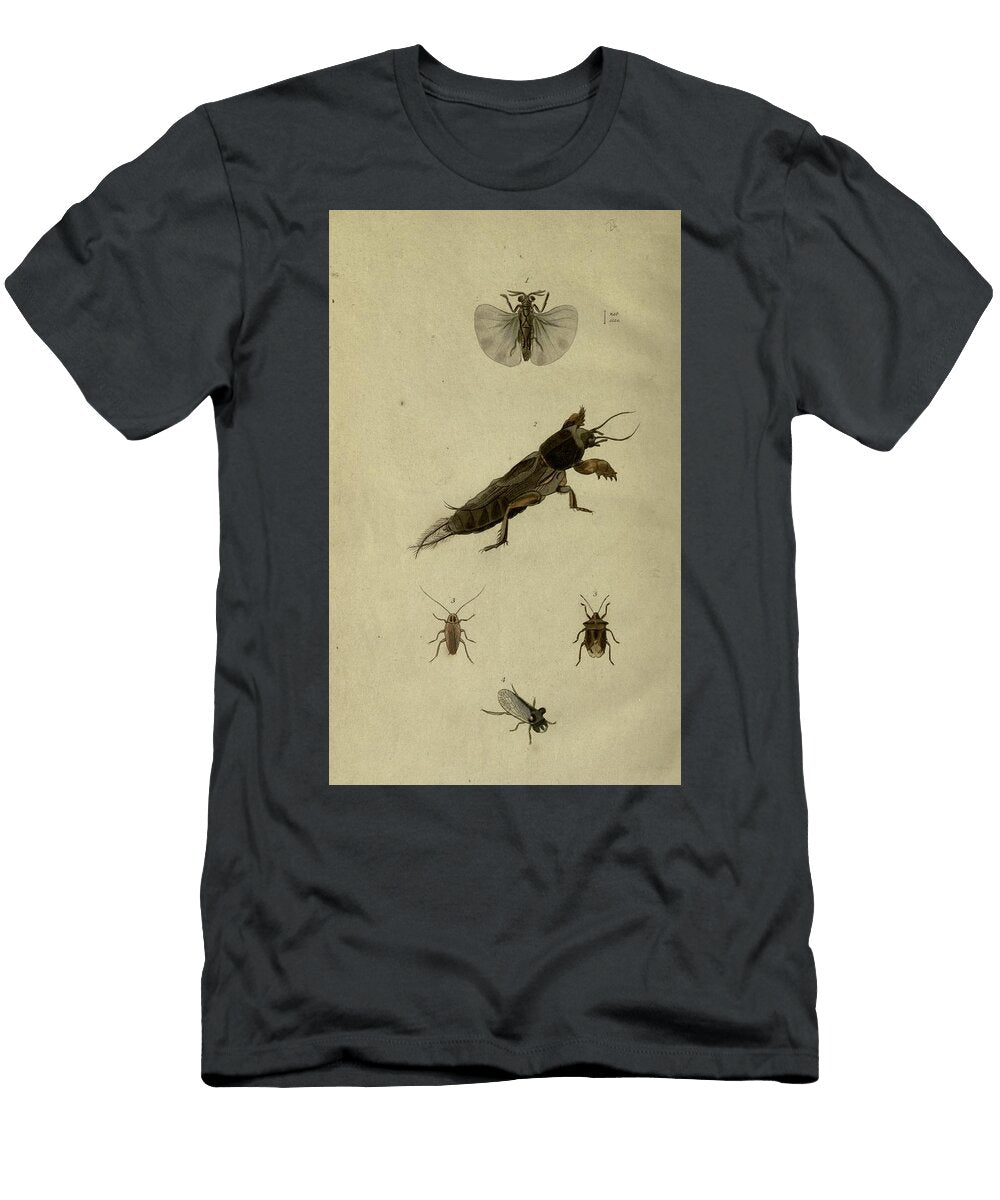 189 Insects Beautiful Nature Prints T-Shirt
