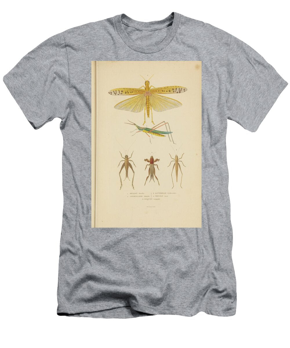 19 Insects Beautiful Nature Prints T-Shirt