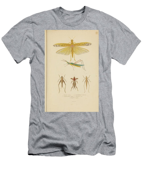 19 Insects Beautiful Nature Prints T-Shirt