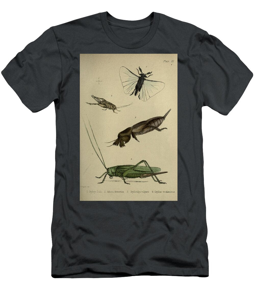190 Insects Beautiful Nature Prints T-Shirt