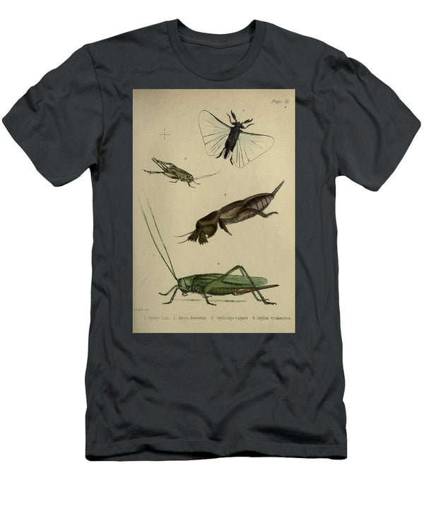 190 Insects Beautiful Nature Prints T-Shirt