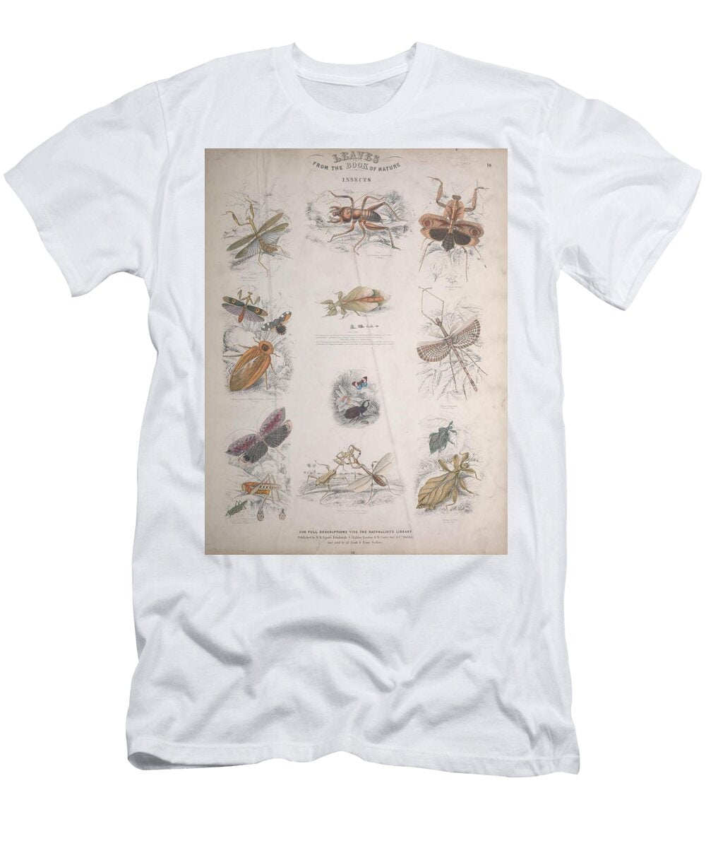 191 Insects Beautiful Nature Prints T-Shirt