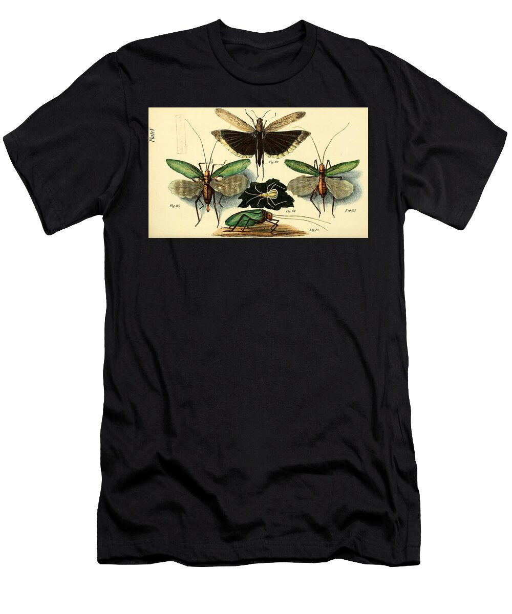 192 Insects Beautiful Nature Prints T-Shirt