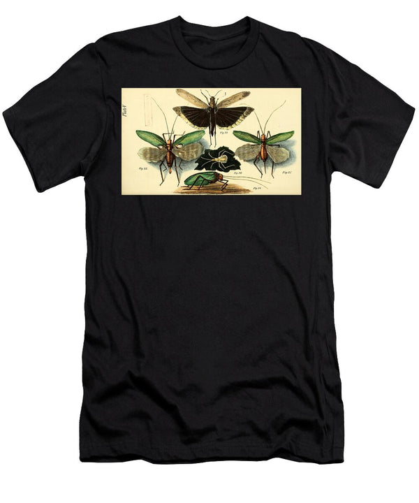 192 Insects Beautiful Nature Prints T-Shirt