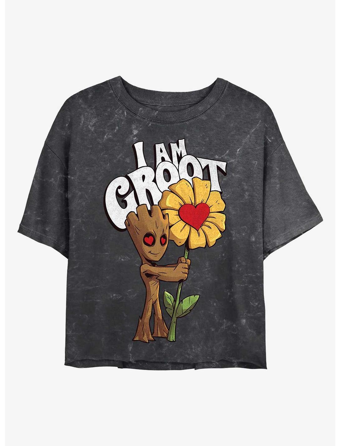 Marvel Guardians of the Galaxy Mine Groot Mineral Wash Crop Girls T-Shirt