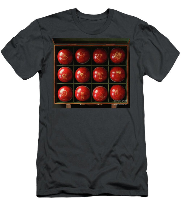 2 Cricket Balls in Display Box Allan Swart T-Shirt