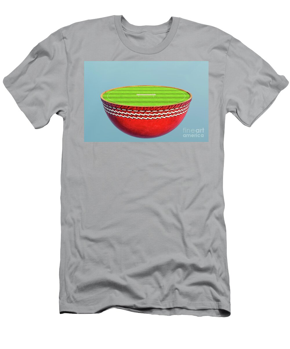 2 Cricket Half Ball Stadium Concept Allan Swart T-Shirt