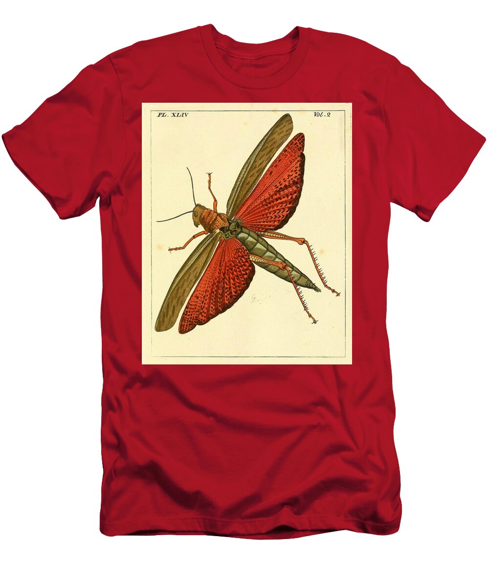 2 Gryllus Locust Beautiful Nature Prints T-Shirt